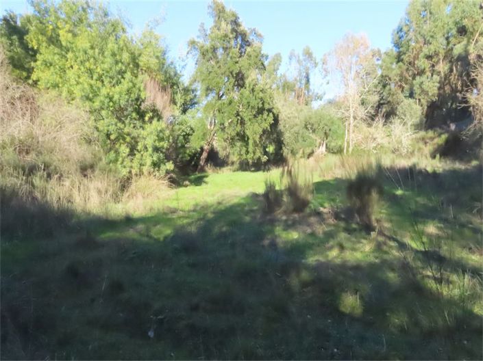 Image No.22-Propriété à vendre à Castelo Branco