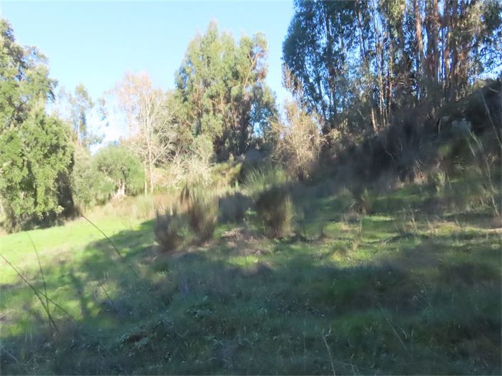 Image No.23-Propriété à vendre à Castelo Branco