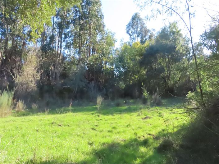 Image No.24-Propriété à vendre à Castelo Branco