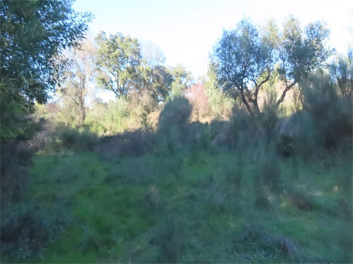 Image No.26-Propriété à vendre à Castelo Branco