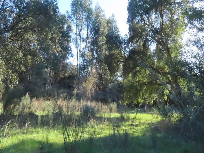 Image No.27-Propriété à vendre à Castelo Branco