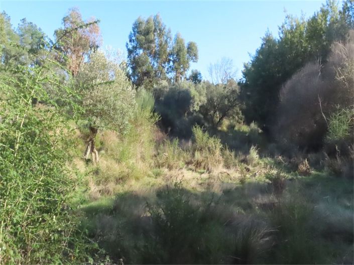 Image No.28-Propriété à vendre à Castelo Branco