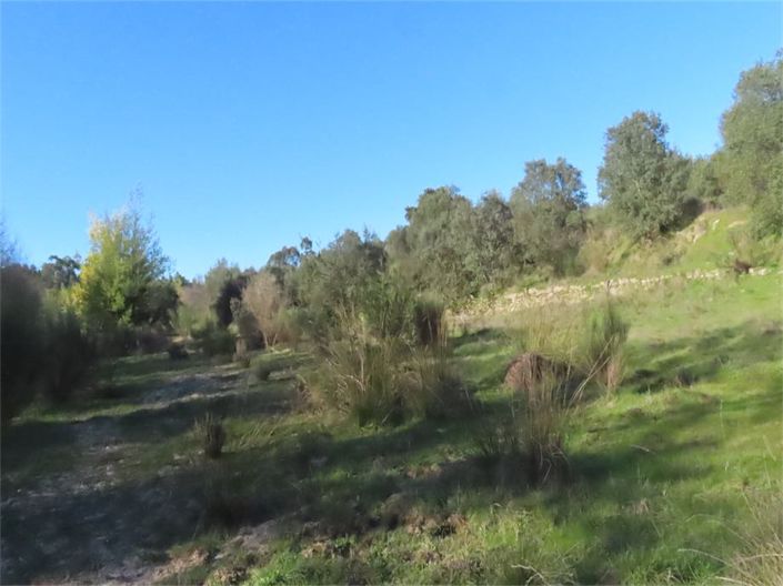 Image No.3-Propriété à vendre à Castelo Branco