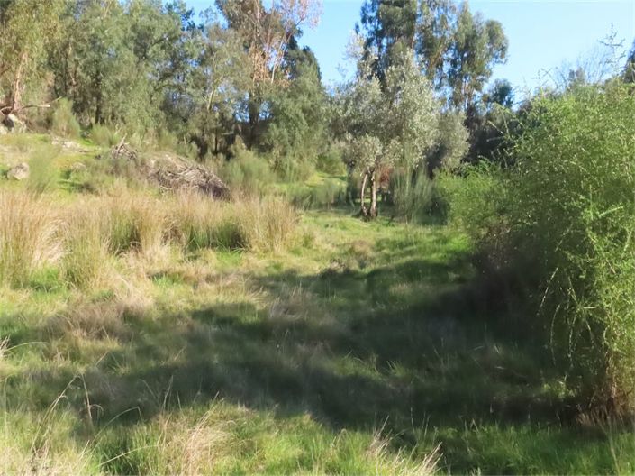 Image No.30-Propriété à vendre à Castelo Branco