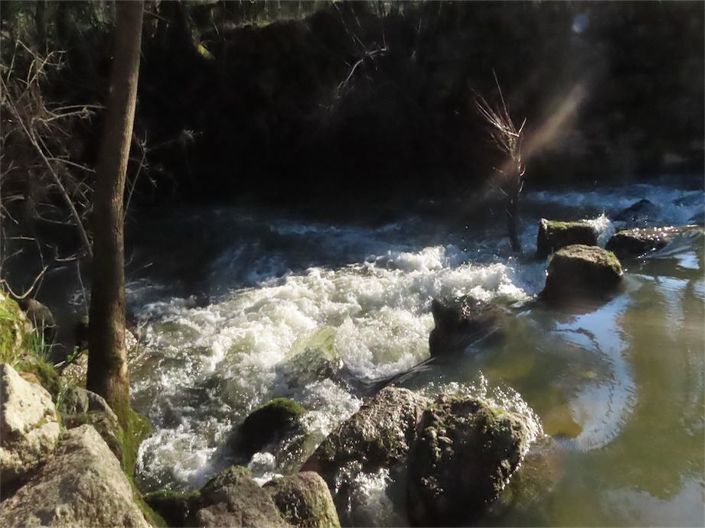 Image No.32-Propriété à vendre à Castelo Branco