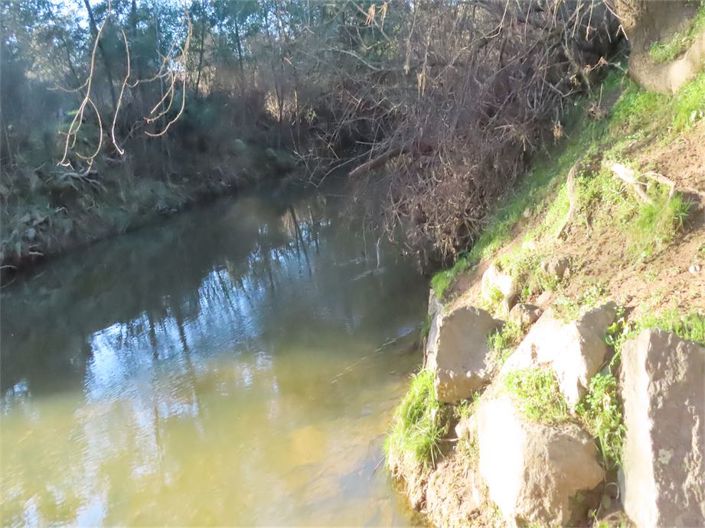 Image No.33-Propriété à vendre à Castelo Branco