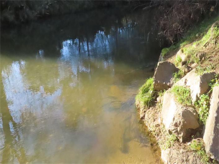 Image No.34-Propriété à vendre à Castelo Branco