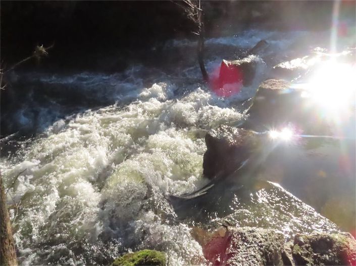 Image No.35-Propriété à vendre à Castelo Branco