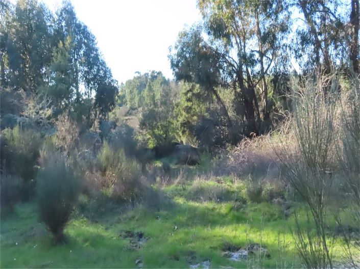 Image No.38-Propriété à vendre à Castelo Branco