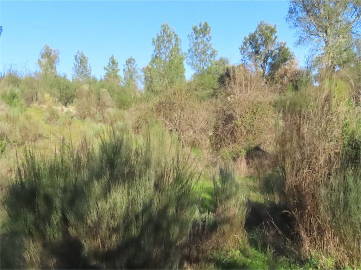 Image No.39-Propriété à vendre à Castelo Branco