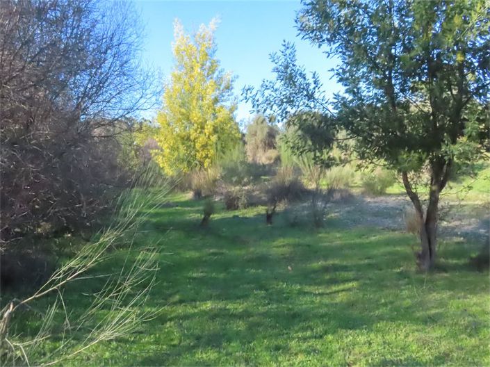 Image No.4-Propriété à vendre à Castelo Branco