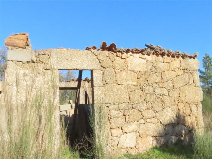 Image No.40-Propriété à vendre à Castelo Branco