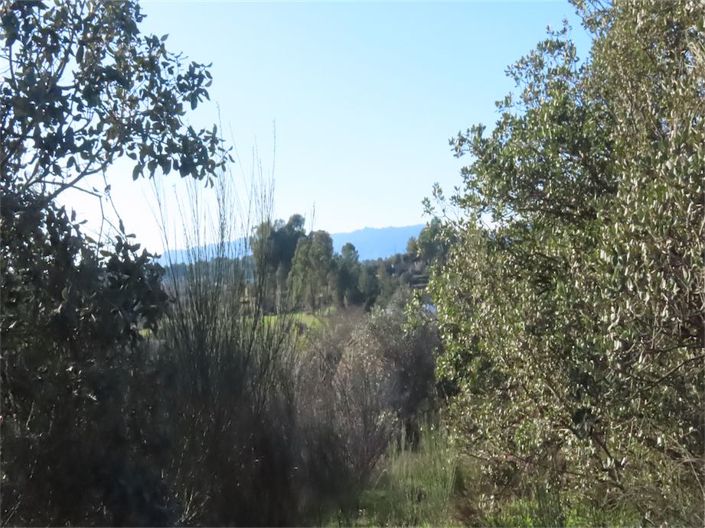 Image No.41-Propriété à vendre à Castelo Branco