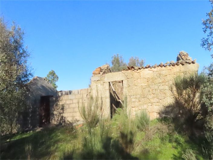 Image No.42-Propriété à vendre à Castelo Branco