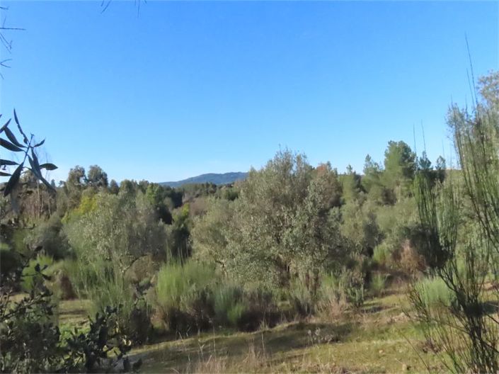 Image No.44-Propriété à vendre à Castelo Branco