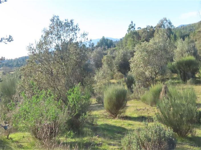 Image No.45-Propriété à vendre à Castelo Branco