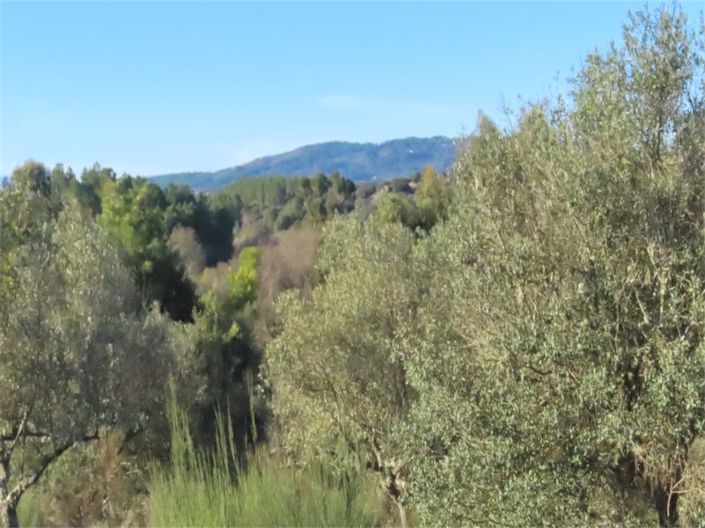 Image No.46-Propriété à vendre à Castelo Branco