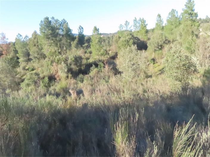 Image No.47-Propriété à vendre à Castelo Branco