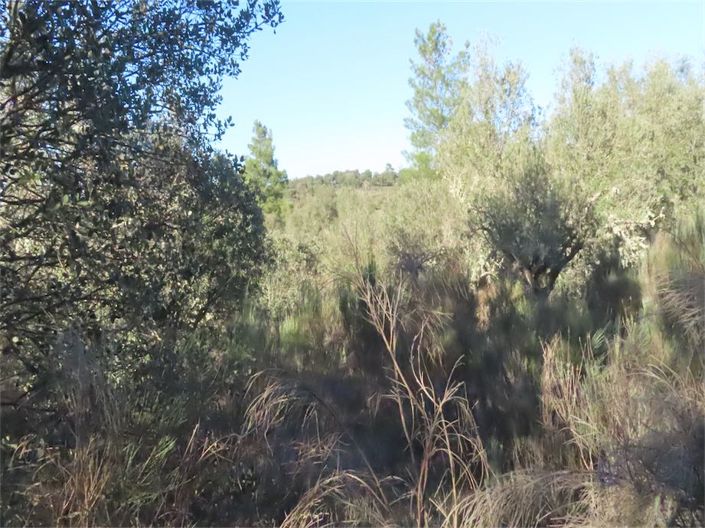 Image No.48-Propriété à vendre à Castelo Branco