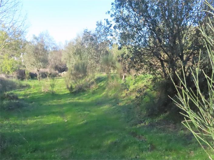 Image No.6-Propriété à vendre à Castelo Branco