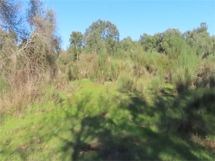 Image No.9-Propriété à vendre à Castelo Branco