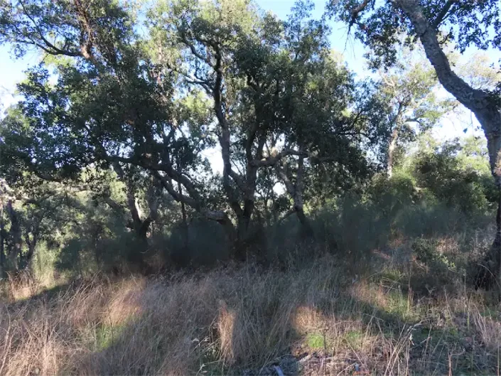 Image No.18-Propriété à vendre à Castelo Branco