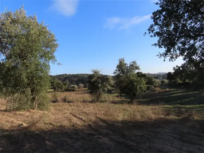 Image No.20-Propriété à vendre à Castelo Branco