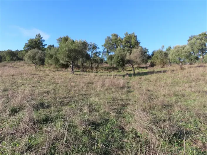 Image No.21-Propriété à vendre à Castelo Branco