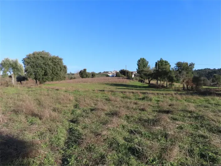 Image No.22-Propriété à vendre à Castelo Branco