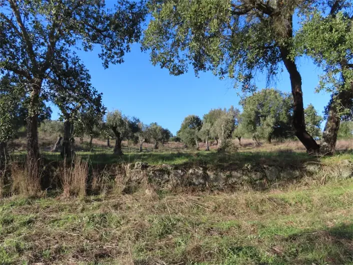 Image No.23-Propriété à vendre à Castelo Branco