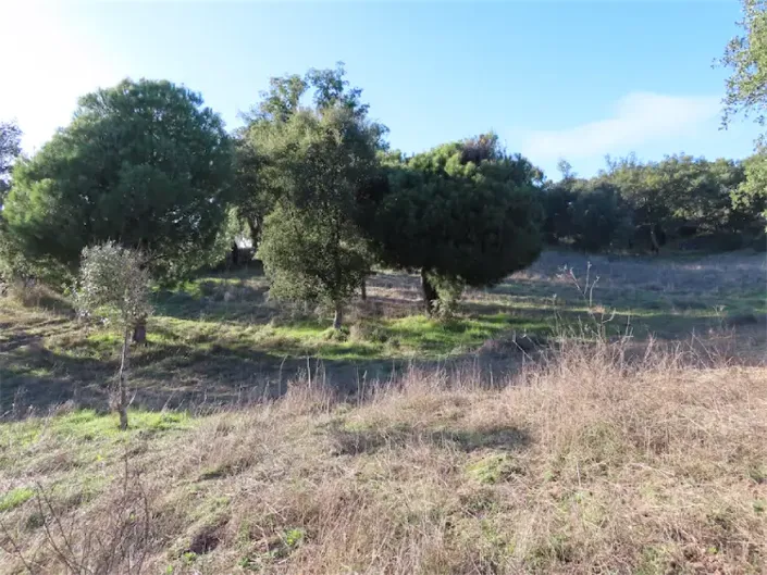 Image No.27-Propriété à vendre à Castelo Branco