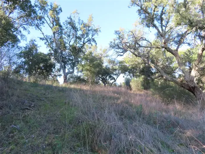 Image No.28-Propriété à vendre à Castelo Branco