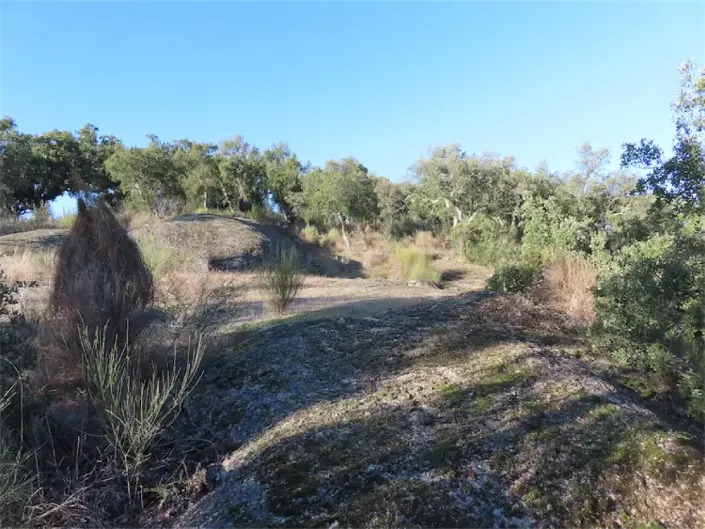 Image No.30-Propriété à vendre à Castelo Branco