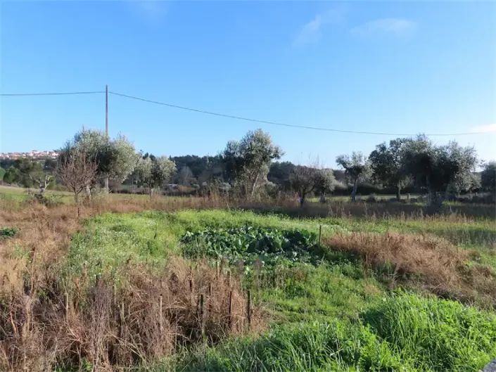 Image No.4-Propriété à vendre à Castelo Branco