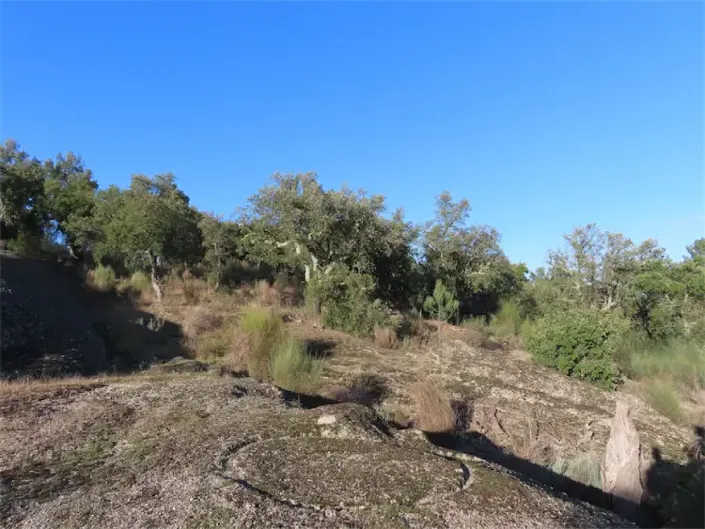 Image No.31-Propriété à vendre à Castelo Branco