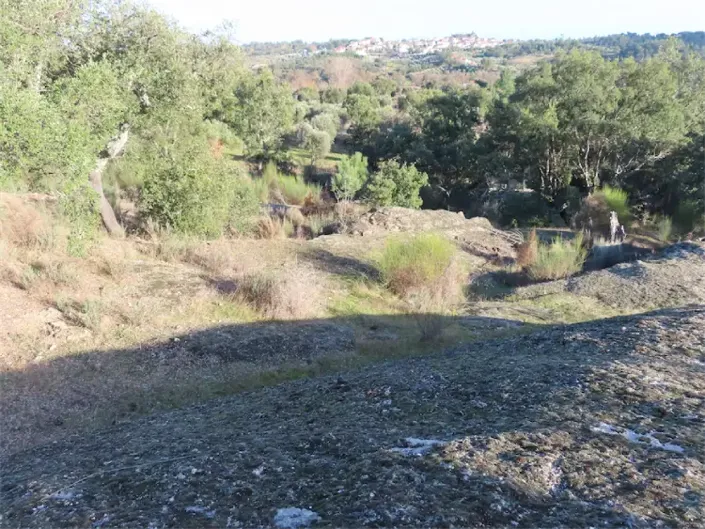 Image No.33-Propriété à vendre à Castelo Branco