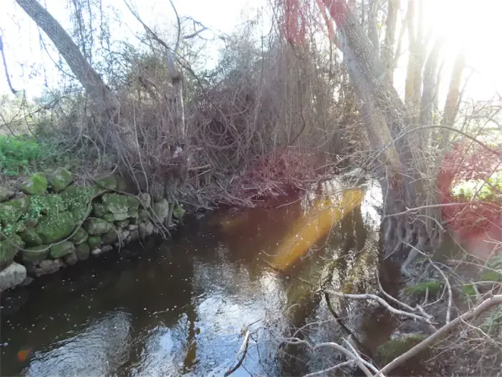 Image No.34-Propriété à vendre à Castelo Branco