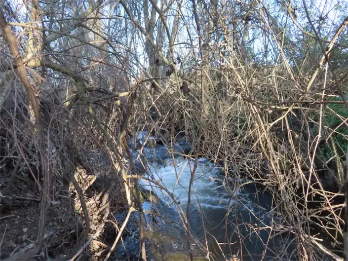 Image No.35-Propriété à vendre à Castelo Branco