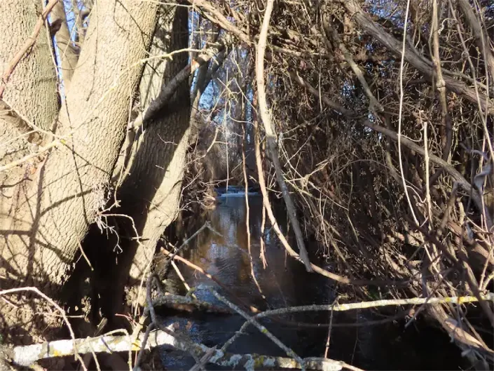 Image No.36-Propriété à vendre à Castelo Branco