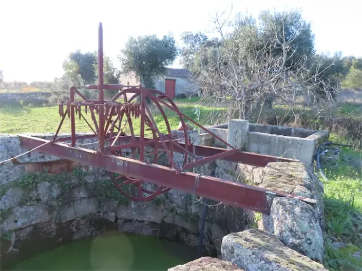 Image No.5-Propriété à vendre à Castelo Branco