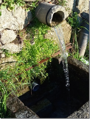 Image No.13-Propriété à vendre à Castelo Branco