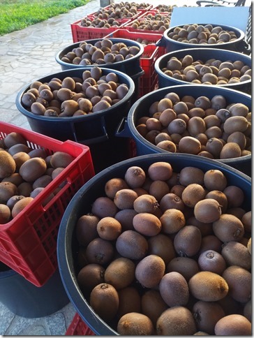 Image No.16-Propriété à vendre à Castelo Branco