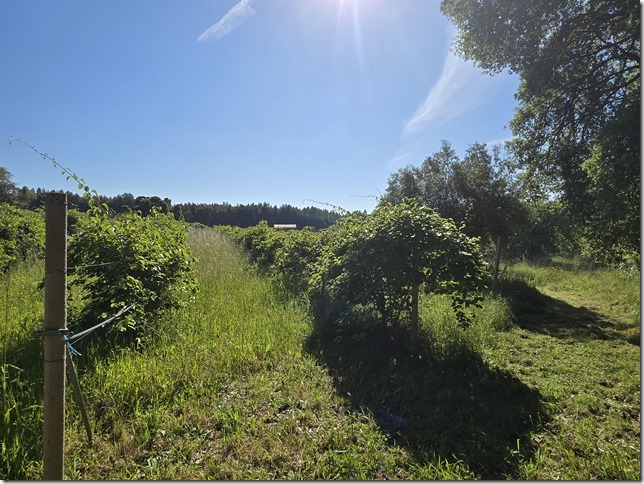 Image No.23-Propriété à vendre à Castelo Branco