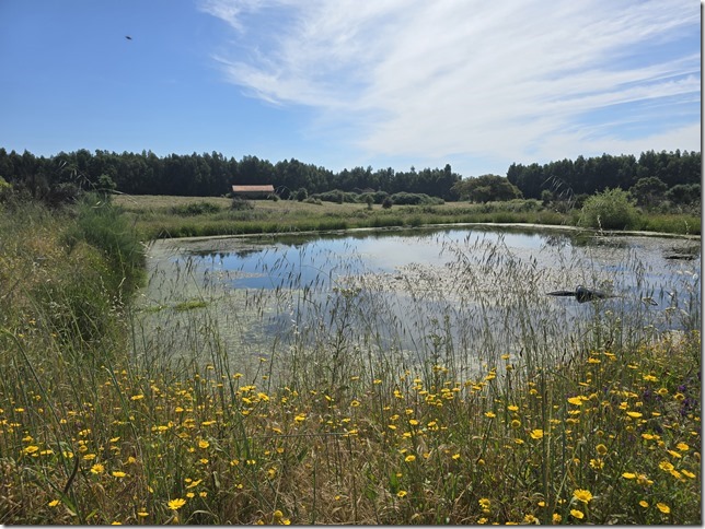 Image No.26-Propriété à vendre à Castelo Branco