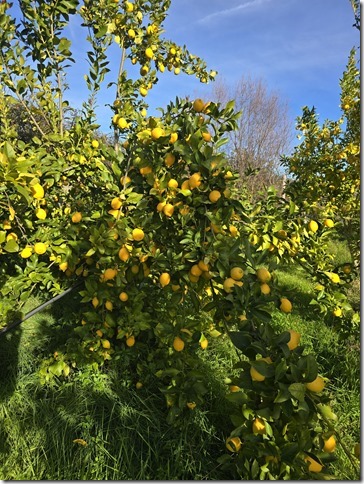 Image No.29-Propriété à vendre à Castelo Branco