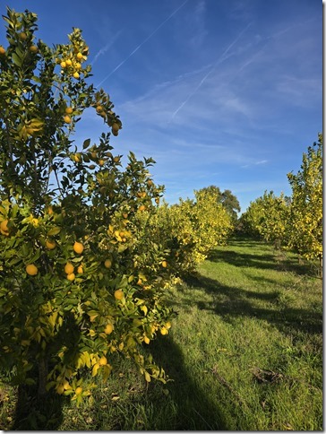 Image No.30-Propriété à vendre à Castelo Branco