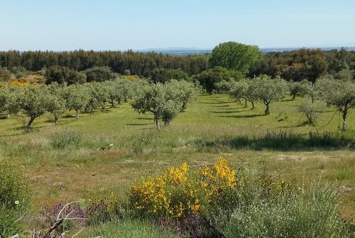 Image No.32-Propriété à vendre à Castelo Branco
