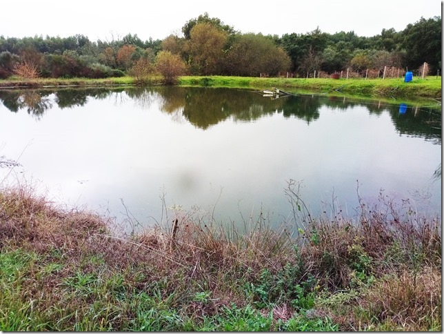 Image No.33-Propriété à vendre à Castelo Branco