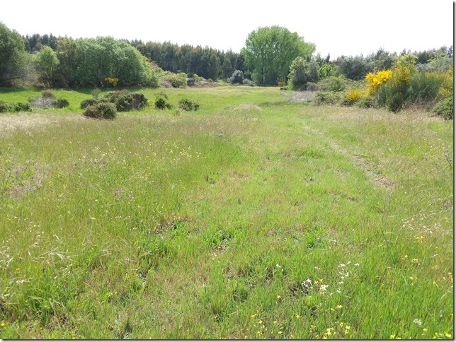 Image No.7-Propriété à vendre à Castelo Branco