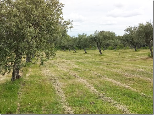 Image No.9-Propriété à vendre à Castelo Branco